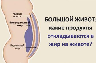 Большой живот: какие продукты провоцируют образование жира вокруг талии?