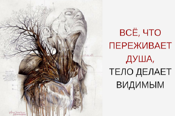 Всё, что переживает душа, тело делает видимым Всё, что переживает душа, тело делает видимым