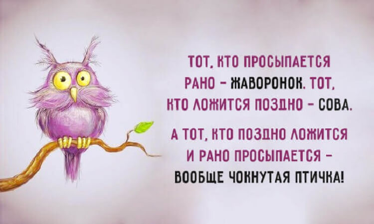 Весёлые картинки &mdash; Хорошее настроение &ndash; залог удачного дня.