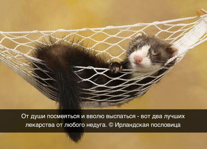 Весёлые картинки &mdash; Хорошее настроение &ndash; залог удачного дня.
