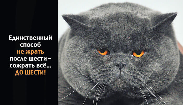 Весёлые картинки &mdash; Хорошее настроение &ndash; залог удачного дня.