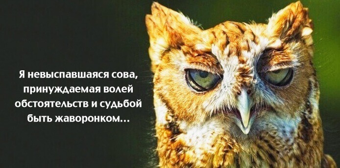 Весёлые картинки &mdash; Хорошее настроение &ndash; залог удачного дня.